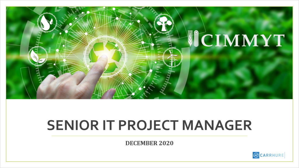 Senior IT Project Manager - CARRHURE