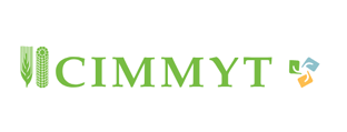CIMMYT