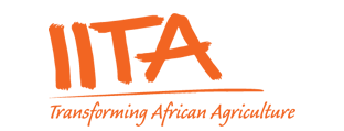 IITA